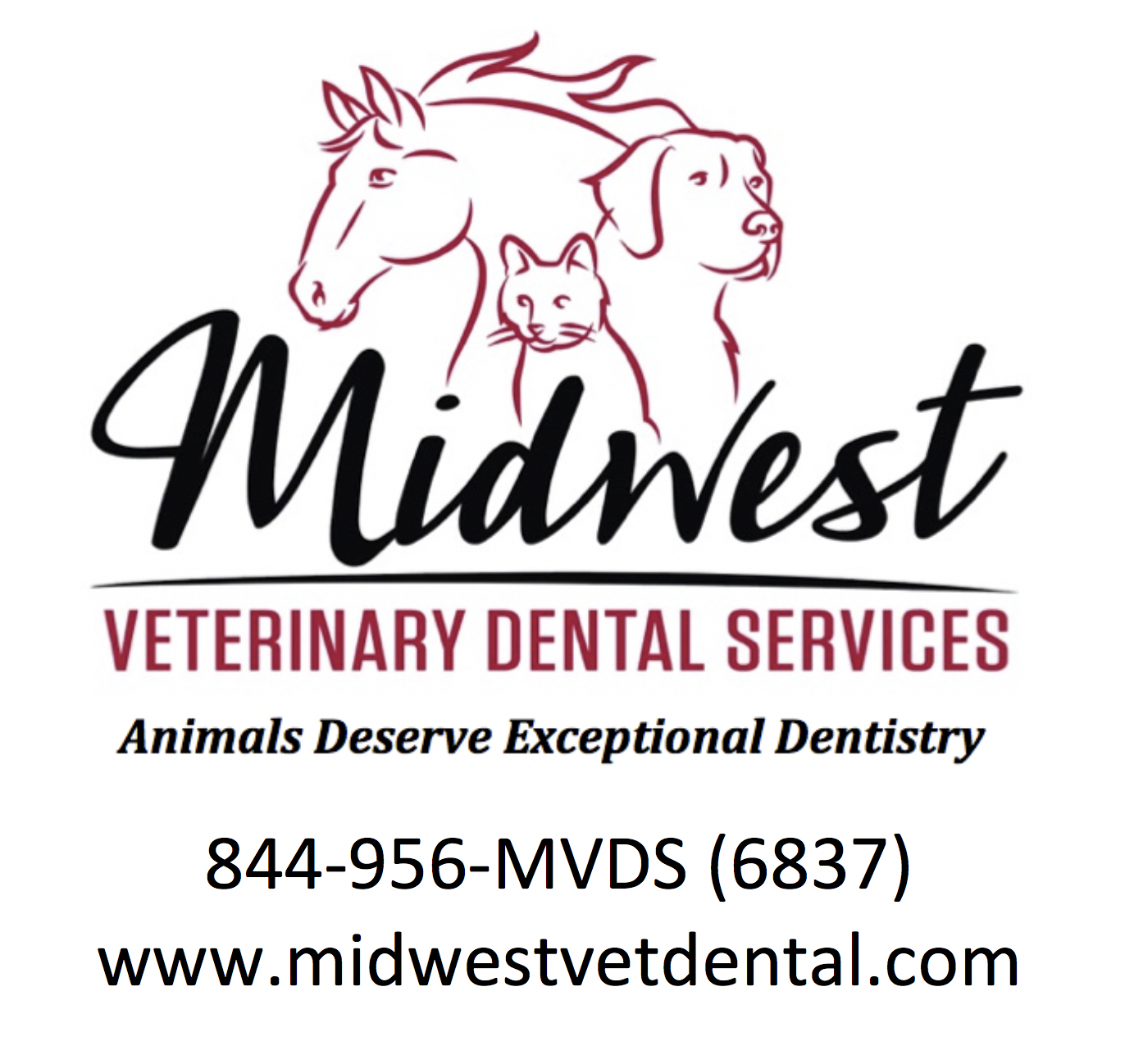 MVDS logo